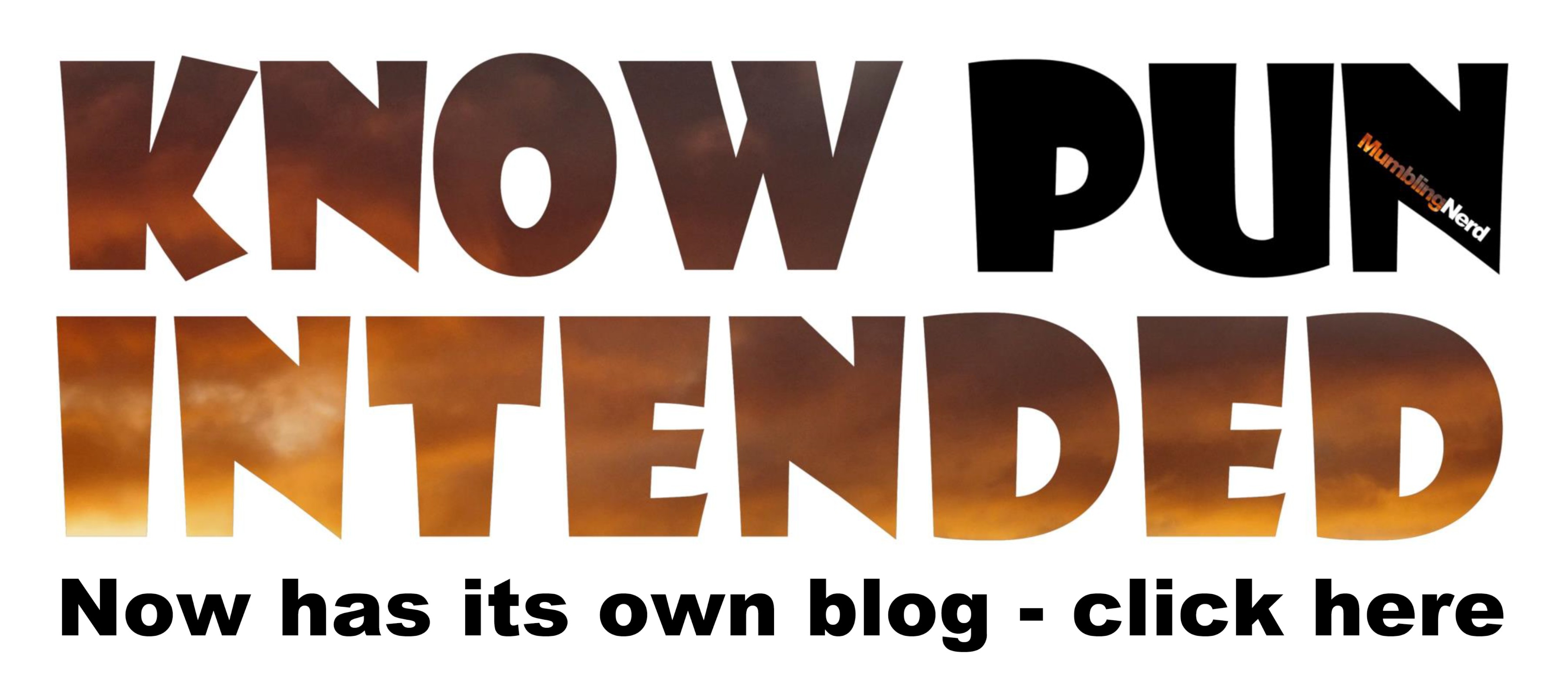 Know Pun Intended Promo Logo L