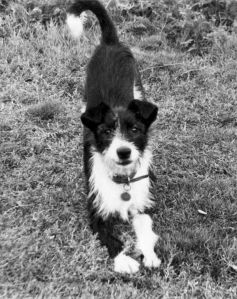 August 1963 Bess Bess (August 1963)