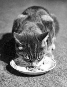 Dec 1966 Ratcliffe Ratcliffe (December 1966)