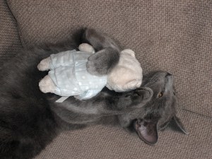 Max and Lucy Max and Lucy