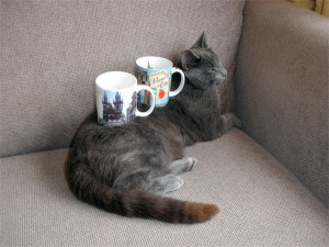 Double cat cup holder Double cat cup holder