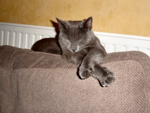 No148_Max_(15-Jan-2009)