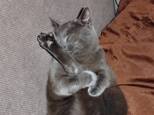 No183_Max_(19-Oct-2009)