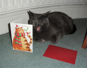 No187_Max's_first_Christmas_card_(24-Dec-2009)