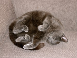 No205_Max_(23-July-2010)