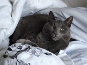 No208_Max_(23-Sept-2010)