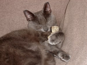 No223_Max_&_Jurgend_(19-Mar-2011)