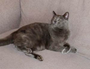 No232 Max (17 Nov 2011)