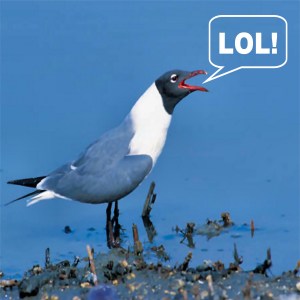 Even more short jokes