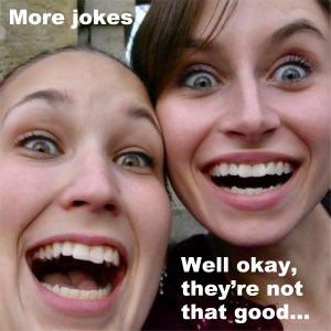 Yet another selection of jokes