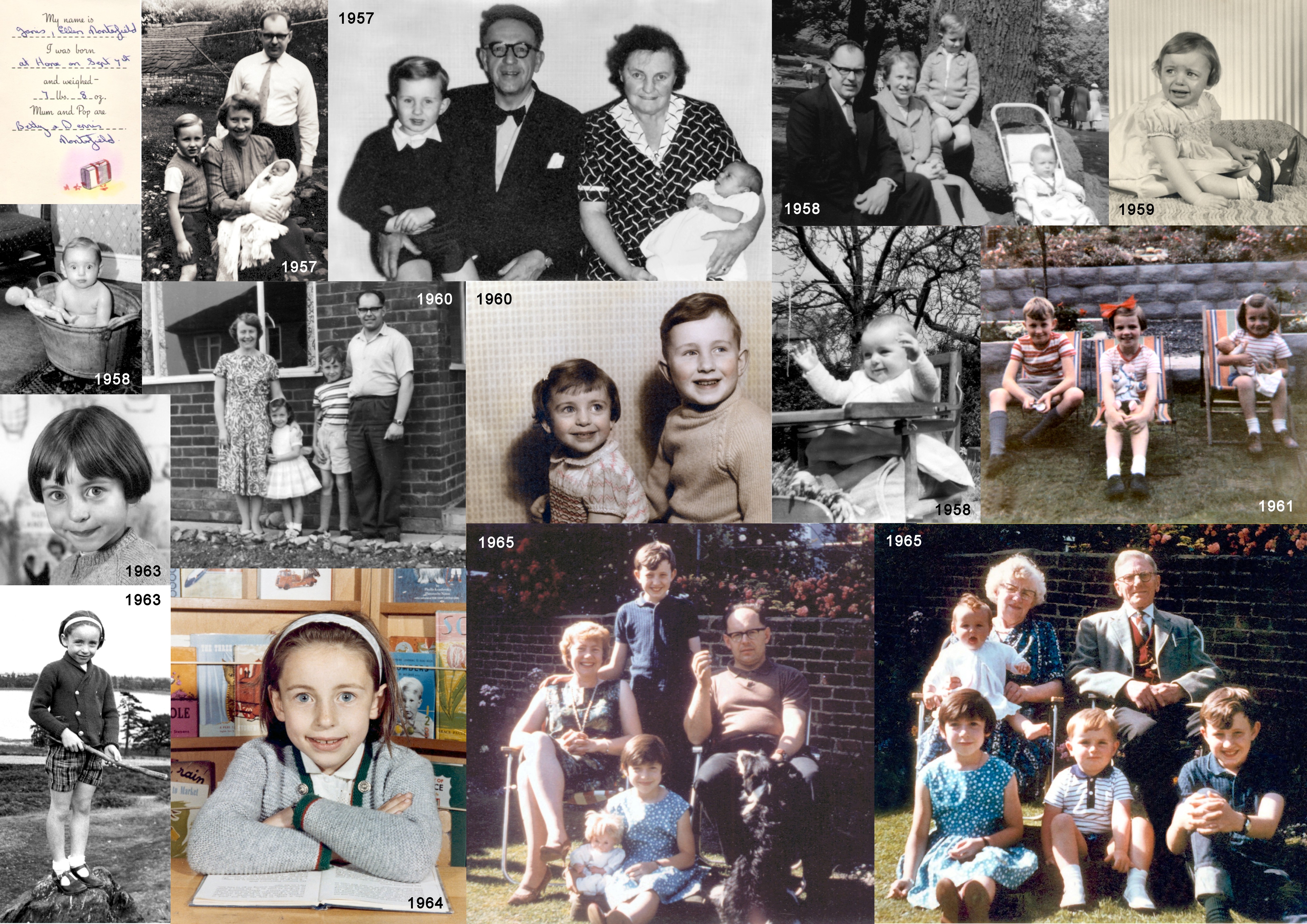 Janis Lewin - Panel 1