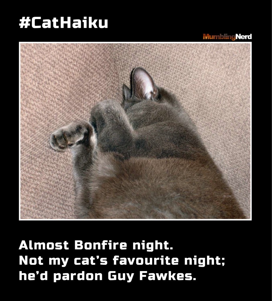 #CatHaiku #2
Almost Bonfire night.
Not my cat’s favourite night;
he’d pardon Guy Fawkes.