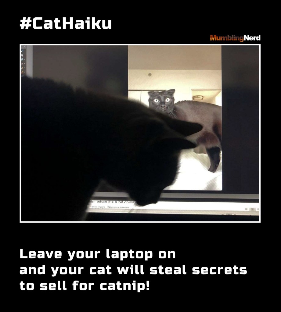 #CatHaiku #3
Leave your laptop on
and your cat will steal secrets
to sell for catnip!