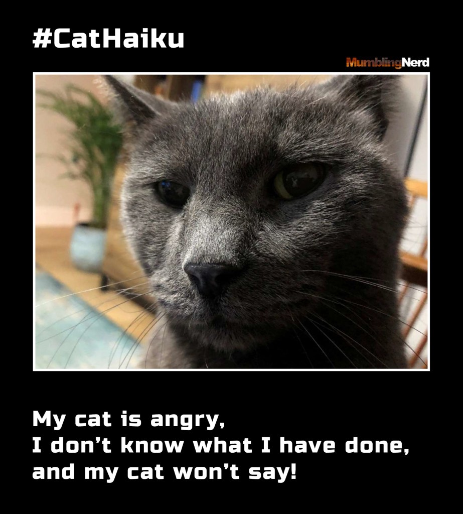#CatHaiku #5
My cat is angry,
I don’t know what I have done,
and my cat won’t say!