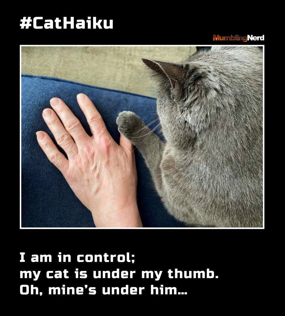 #CatHaiku #9
I am in control;
my cat is under my thumb.
Oh, mine’s under him…